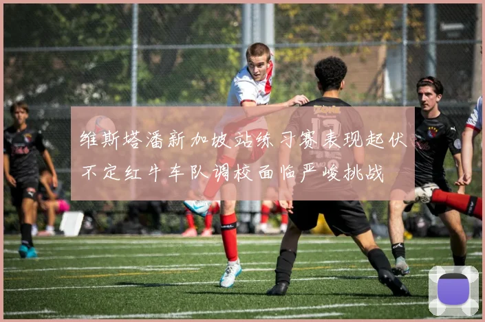 维斯塔潘新加坡站练习赛表现起伏不定红牛车队调校面临严峻挑战